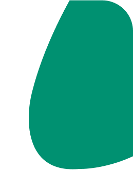 Color shape